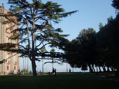 Scenic view of Capodimonte, Naples with lush greenery and distant buildings