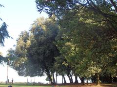 Parco Di Capodimonte