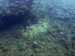 Fumerole in Underwater Archaeological Park of Baiae