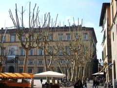 Piazza Napoleone in Lucca