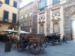 Piazza Napoleone in Lucca with horse carriages