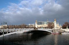 Pont Alexandre III and Grand Palais in the 8th arrondissement of Paris, France