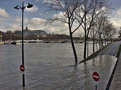 January 26, 2018 Seine flood at Pont Alexandre III in Paris