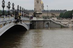 Alexandre III Bridge over the Seine during the 2016 flood