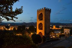 Big Tower in Florence, Italy at dusk