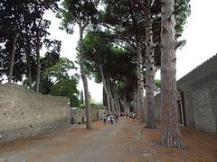 Pompeii Regio II between Palaestra and Insulae 2/3