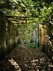 Ruins of ancient paper mills in Valle delle Ferriere, Scala