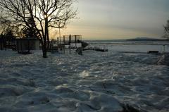 Elderberry Park covered in snow in Anchorage, Alaska