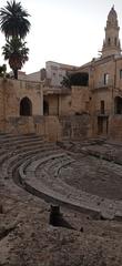 Cat sitting at the Roman Theatre of Lecce