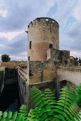 Torre del Belloluogo, a cultural heritage monument in Italy