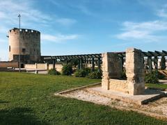 Torre del Parco di Belloluogo with well