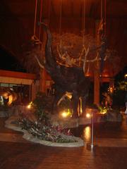 Chiang Mai Night Safari Elephant Statues