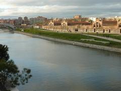 Scenic view of Rio Manzanares flowing through lush greenery