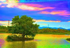 Aiguamolls de l'Empordà wetland in Spain