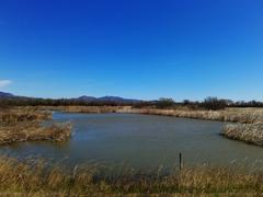 Aguait de les Miloques in Parc Natural dels Aiguamolls de l'Empordà