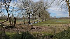 Aiguamolls de l'Empordà wetland in Catalonia