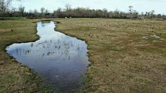 Aiguamolls de l'Empordà wetland in Catalonia