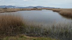 Aiguamolls de l'Empordà natural park in Catalonia