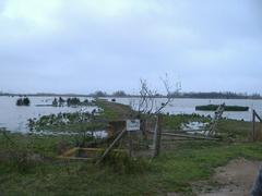 Aiguamolls de l'Empordà wetland landscape