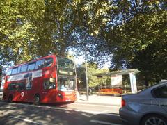 220 bus on Brook Green, Hammersmith