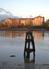 View across the Thames River to William Hunt Mansions