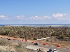 Fields and Persian Gulf coast at Fujairah in 2012