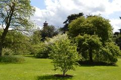 Pagoda glimpse with lush greenery