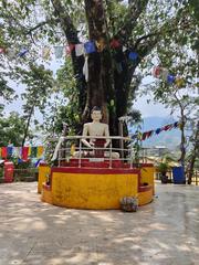 Buddhist temple in Itanagar