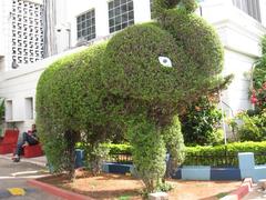 Amazing elephant cutting from leaves