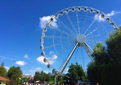 Ferris wheel in the Park Divo Ostrov, St. Petersburg