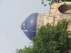 Neela Gumbad in Delhi during WCI 2016