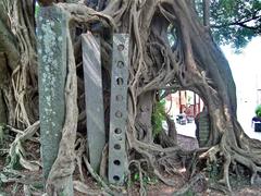 Kam Tin Tree House in Shui Mei Village, Hong Kong