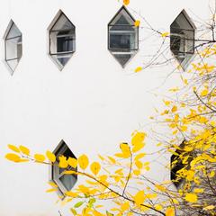 Melnikov House in Moscow