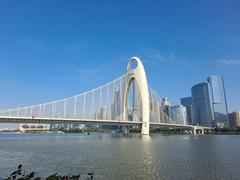 Liede Bridge at night with illuminated cables and Guangzhou cityscape