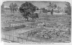 View of Kansas Stock Yards, Kansas City, Mo.