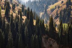 Ile-Alatau National Park in Almaty, Kazakhstan