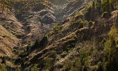 Ile-Alatau National Park in Almaty, Kazakhstan