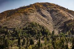 Ile-Alatau National Park in Almaty, Kazakhstan