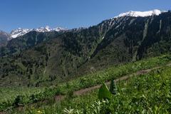 Panoramic view of Ile-Alatau National Park in May 2018