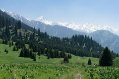 Snow-capped mountains in Ile-Alatau National Park