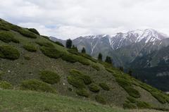 Ile-Alatau national park in May 2018