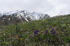 Ile-Alatau National Park in May 2018