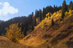 protected area in Kazakhstan with lush trees