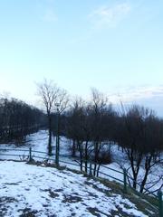 Winter view from Wanda Mound