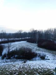 view from Wanda Mound towards the northwest in winter 2016