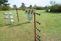 Electrified fence for sheep grazing with photovoltaic module, spring 2019