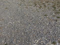 Gravel path in nature reserve with granitic gravel