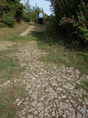 Walking trail on limestone in Büchelberg nature reserve