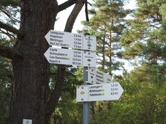 Wegweiser im Naturschutzgebiet Büchelberg