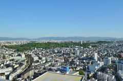 aerial view of Daisen Kofun in Osaka, Japan